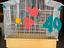 Immagine 6