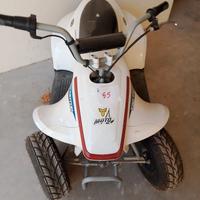 mini quad