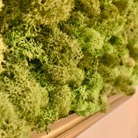 Restyling  cornice anni ‘60