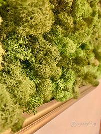 Restyling  cornice anni ‘60