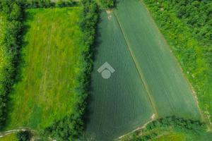 TER. AGRICOLO A MASATE