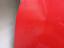 Immagine 12