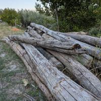 Travi in legno antiche