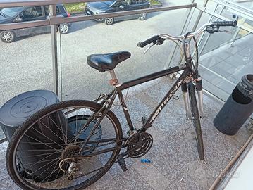 bicicletta