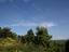 Immagine 3
