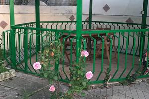 Casetta con giardino