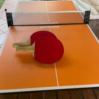Mini tavolo da ping pong