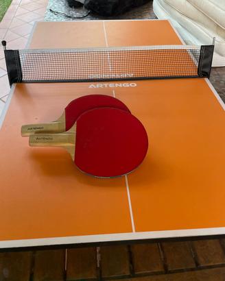 Mini tavolo da ping pong