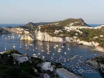 Dal 9 al 19 agosto cala feola