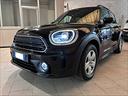 mini-one-countryman-1-5-business