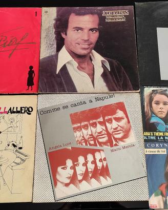 9 dischi LP + 3 dischi 45 giri degli anni '70