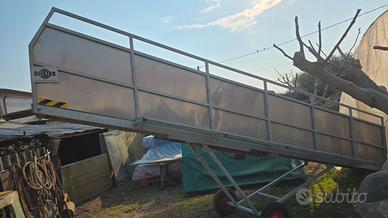 Ponte di carico suini