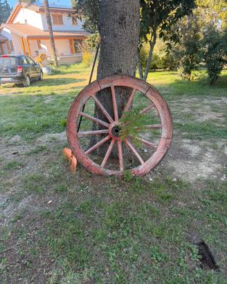 Per arredo giardino