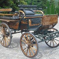 Carrozza per cavallo breck tutto legno