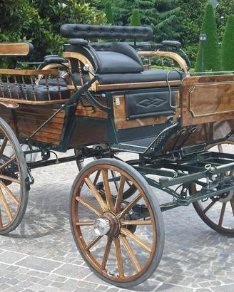 Carrozza per cavallo breck tutto legno