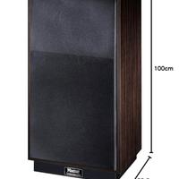 Casse acustiche Magnat Transpuls 1500