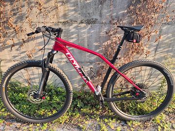 Mtb front carbonio taglia L