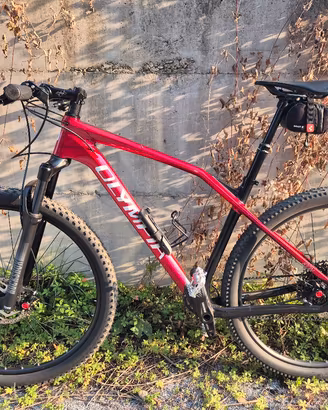 Mtb front carbonio taglia L
