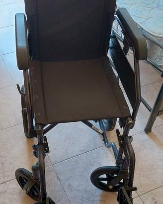 sedia a rotelle- carrozzina