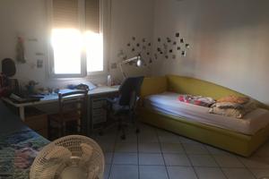 Posto letto in stanza doppia bologna