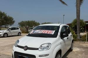 Fiat Panda Pandina 1.0 FireFly 65 CV Hybrid Icon