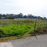 Terreno Edificabile - Ardea