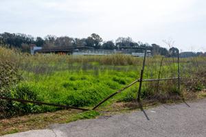 Terreno Edificabile - Ardea