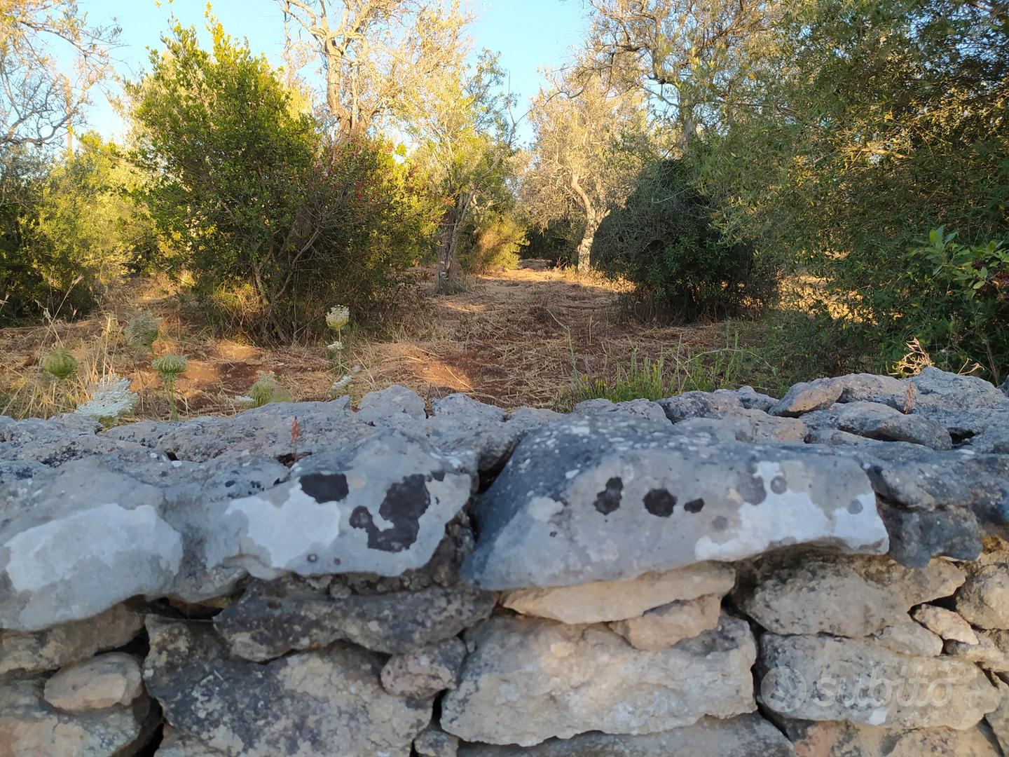 Terreno mq. 6000 - La Landrigga - Sassari - - Altro