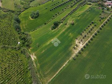 TER. AGRICOLO A BELLANTE