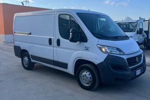 Fiat Ducato Passo medio Tetto basso