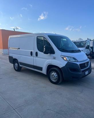 Fiat Ducato Passo medio Tetto basso
