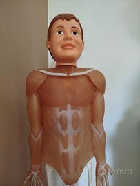 Il corpo umano RBA ediz. 2021