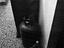 Immagine 9