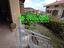 Immagine 11