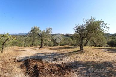 TER. AGRICOLO A POGGIO NATIVO