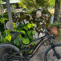 Trek fuel ex-e