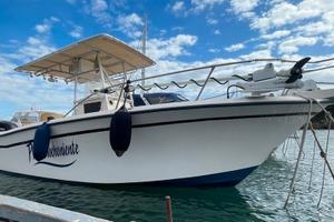 Grady White 263 CC + 2x250hp Suzuki (2013)