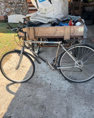 Bici Cinelli Argento Vivo