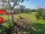 Immagine 9
