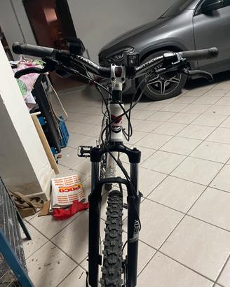 bottechia fx 520