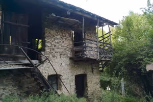 Rustico con terreno