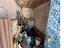 Immagine 14