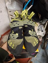 Scarpette da arrampicata 