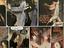 Immagine 5