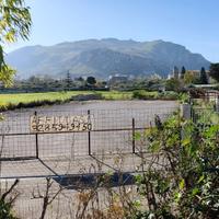 Terreno uso Posteggio