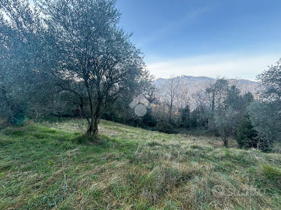 TER. AGRICOLO A LIERNA - Vista 4