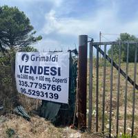 Capannone Industriale Fiumicino [V36/25ACG] (Aerop