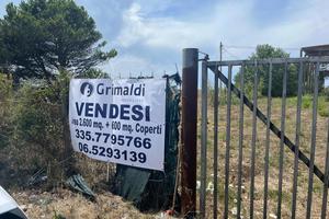 Capannone Industriale Fiumicino [V36/25ACG] (Aerop