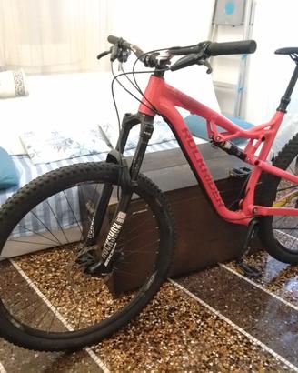 MTB Rockrider XC 100 misura L