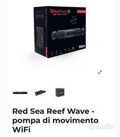 Red Sea wave 25